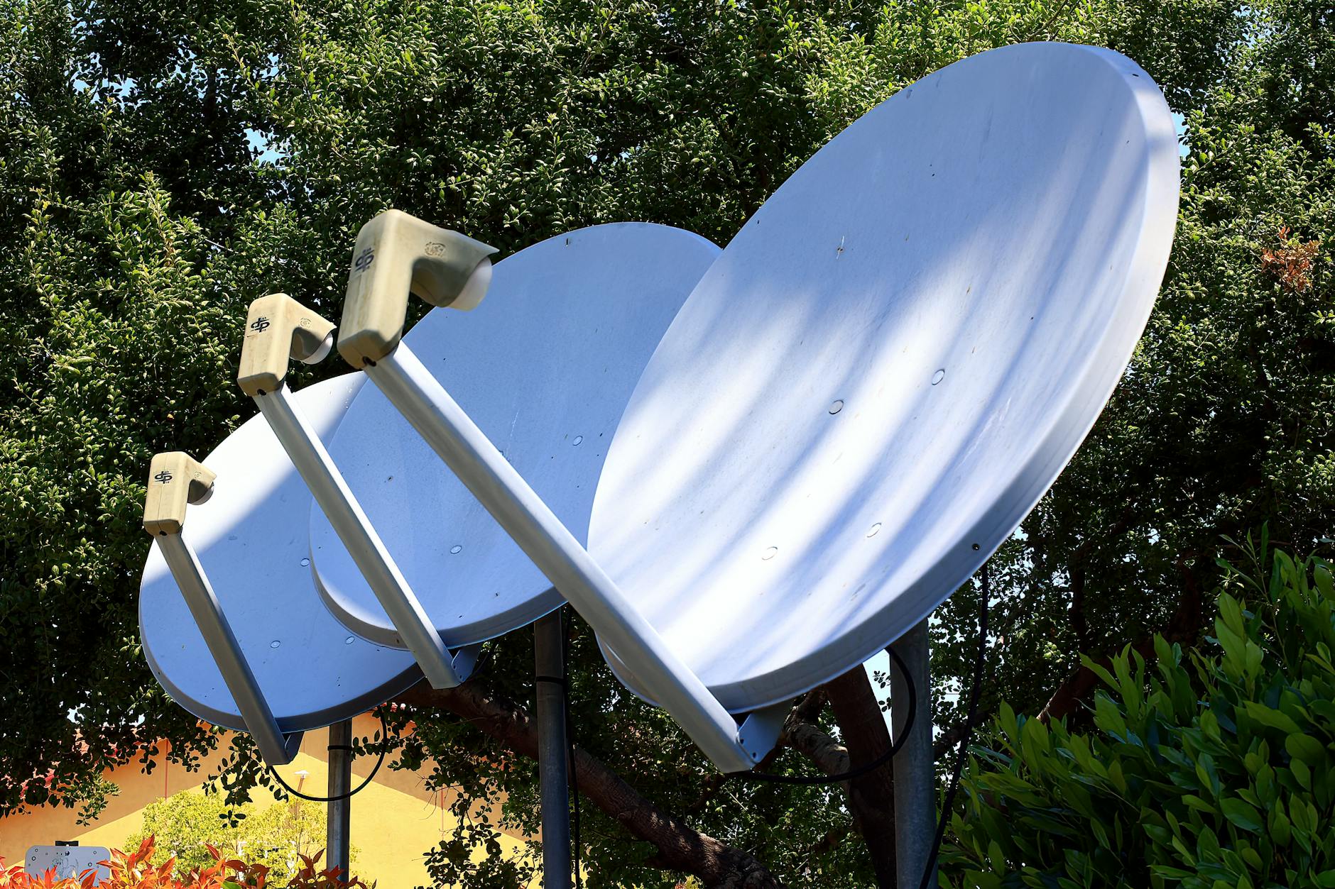 foto di tra antenne paraboliche casalinghe con uno sfondo di alberi